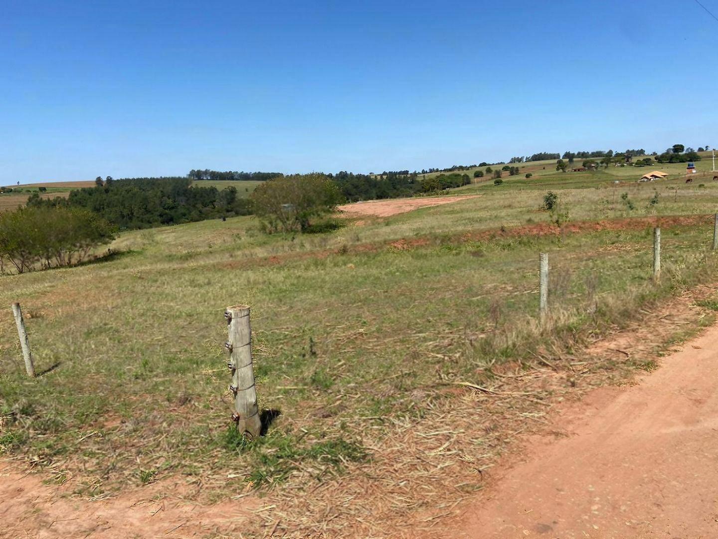 Chácara/Sítio à venda em Estrada Rodeio, Cianorte - PR