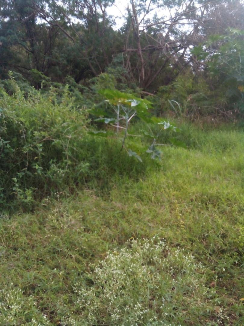 Chácara/Sítio à venda em Jardim Ouro Cola, Maringá - PR