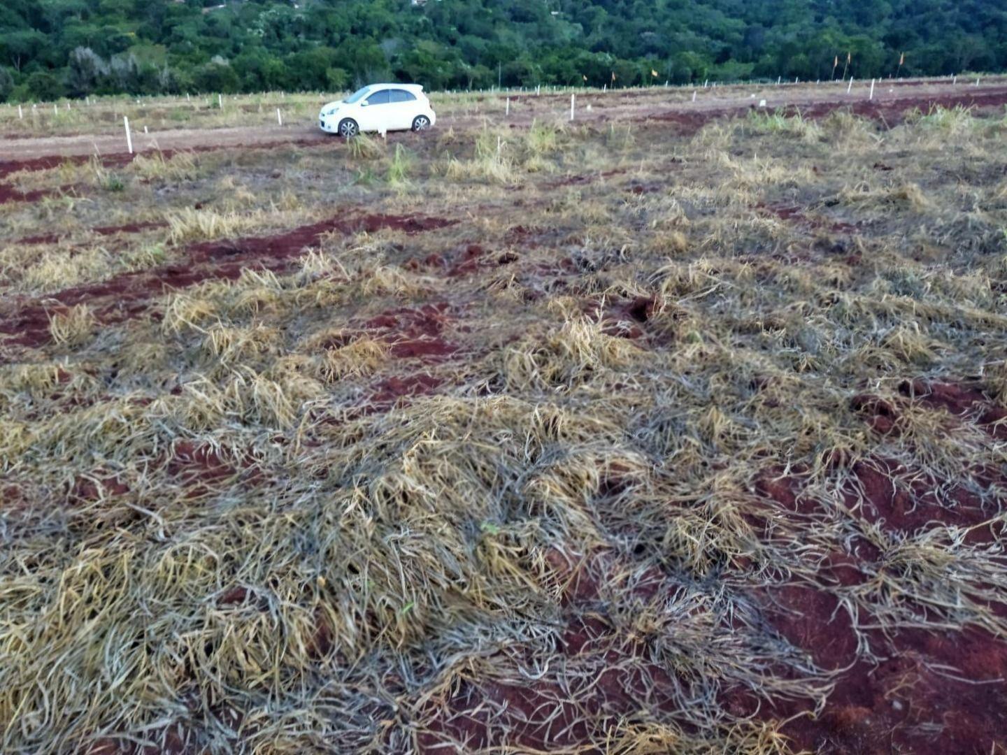 Terreno à venda em Ivailandia, Engenheiro Beltrão - PR