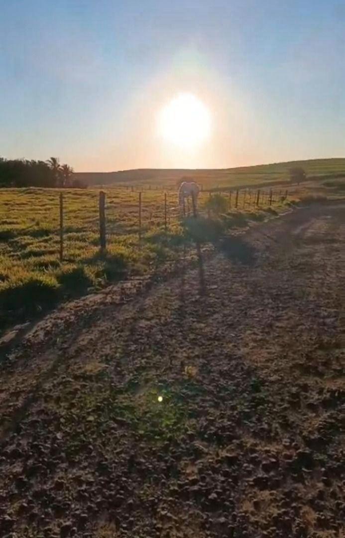 Terreno à venda em Rodovia Iguaraçu, Iguaraçu - PR