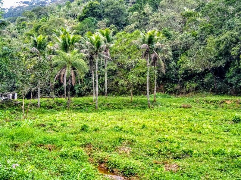 Chácara/Sítio à venda em Xerem, Duque de Caxias - RJ
