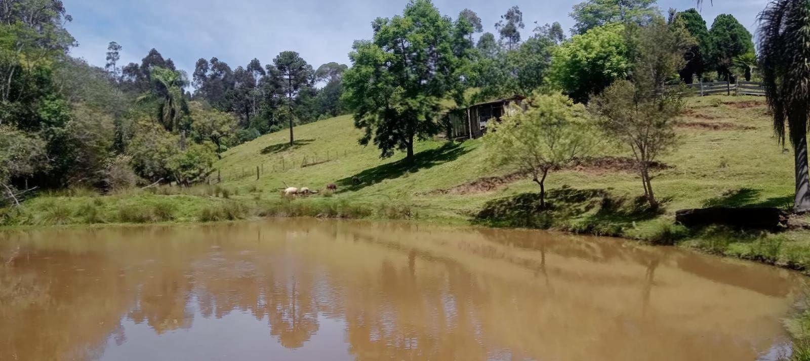 Chácara/Sítio à venda em Areia Branca dos Assis, Mandirituba - PR