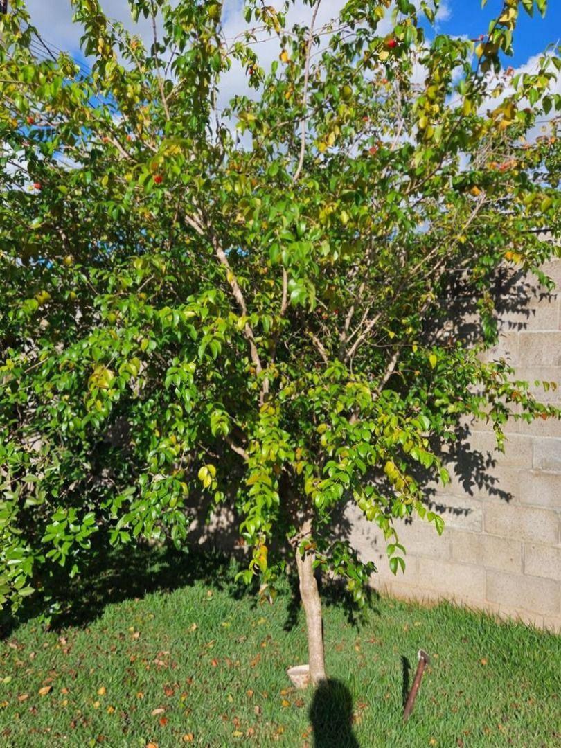 Terreno à venda em Jardim Munique, Maringá - PR