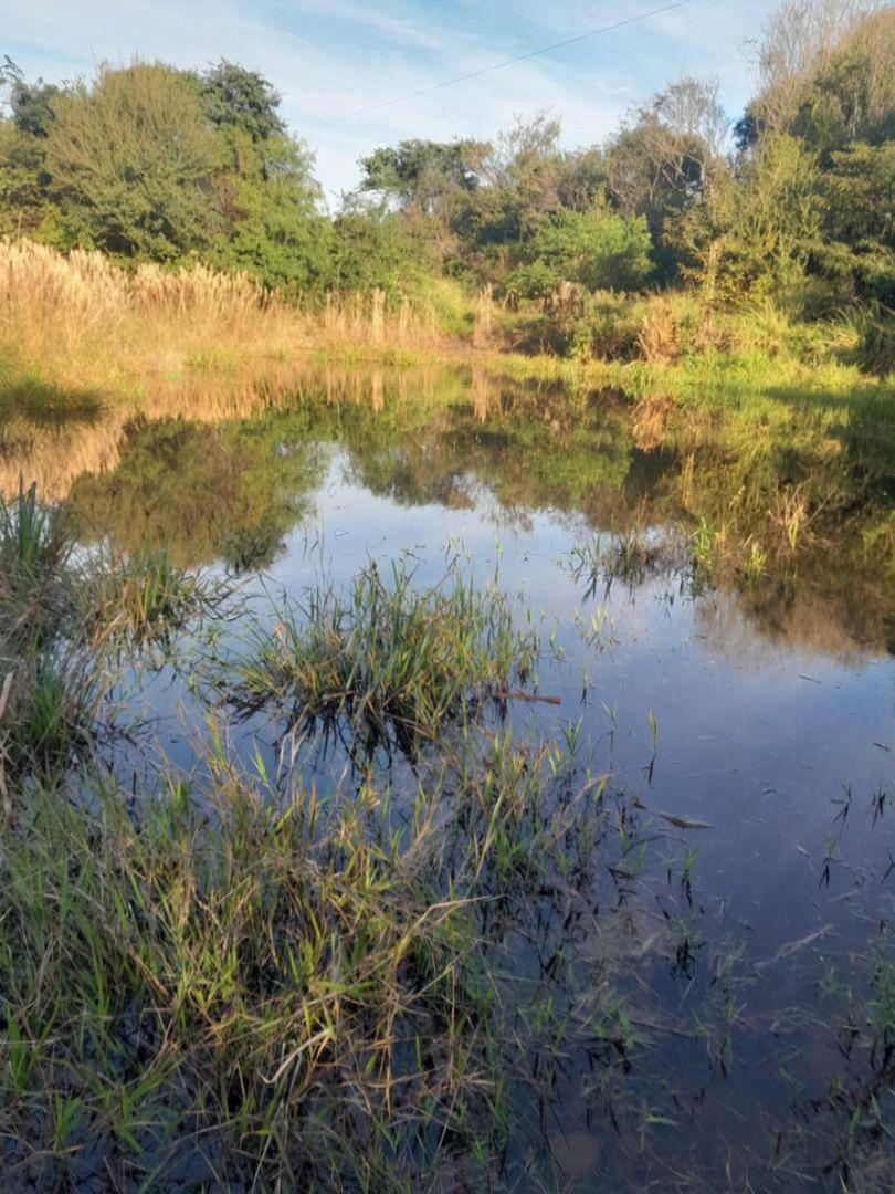 Terreno à venda em Rural, Corumbataí do Sul - PR