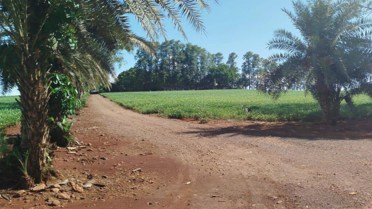 Chácara/Sítio à venda em Centro, São Jorge do Ivaí - PR