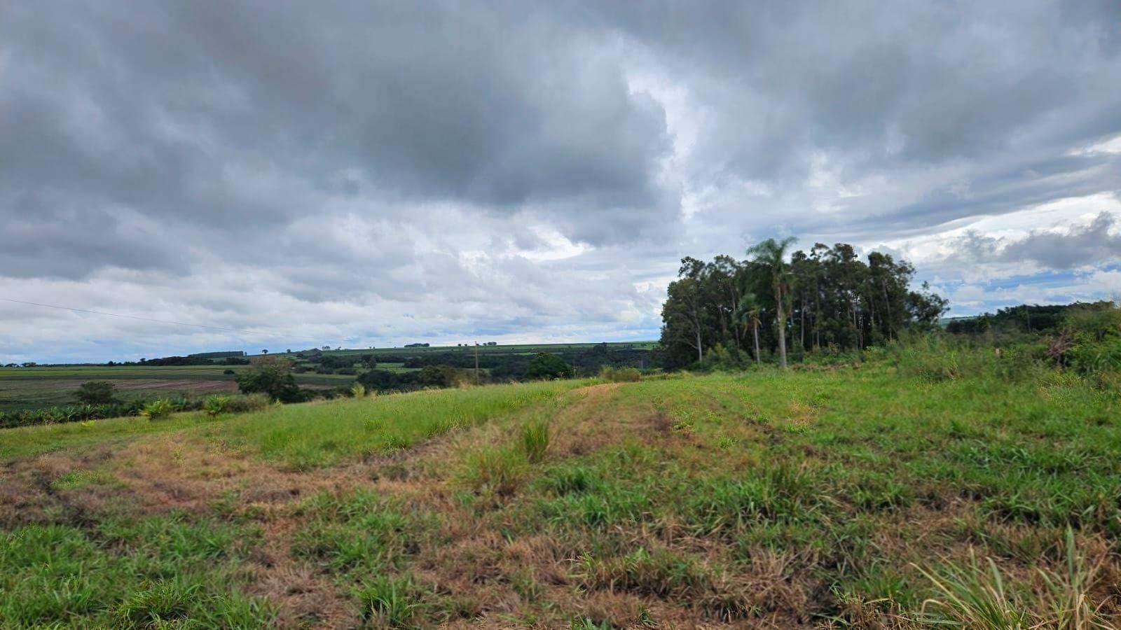 Chácara/Sítio à venda em Rural, Nova Esperança - PR