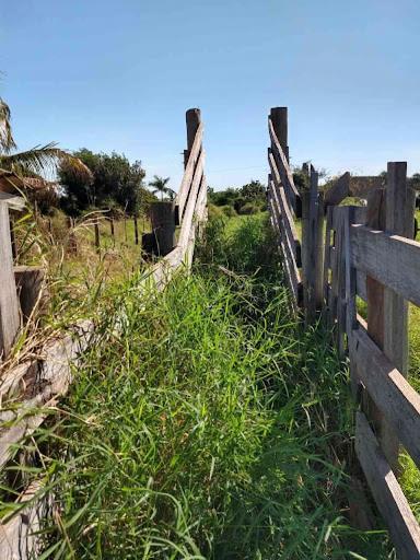 Chácara/Sítio à venda em Rodovia Pr317, Iguaraçu - PR