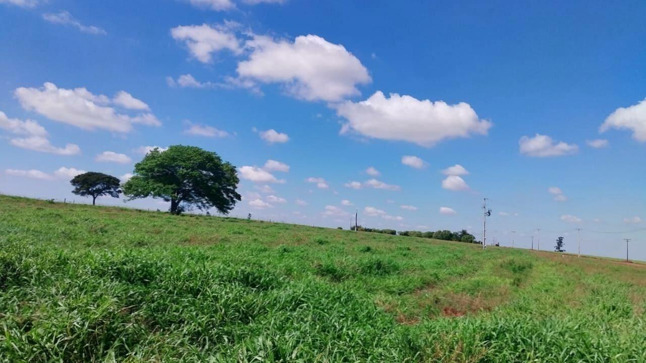 Chácara/Sítio à venda em Conjunto Residencial Santa Terezinha, Maringá - PR