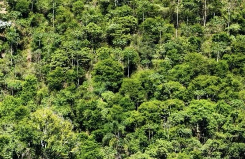 Terreno à venda em Boa Sorte, Cantagalo - RJ