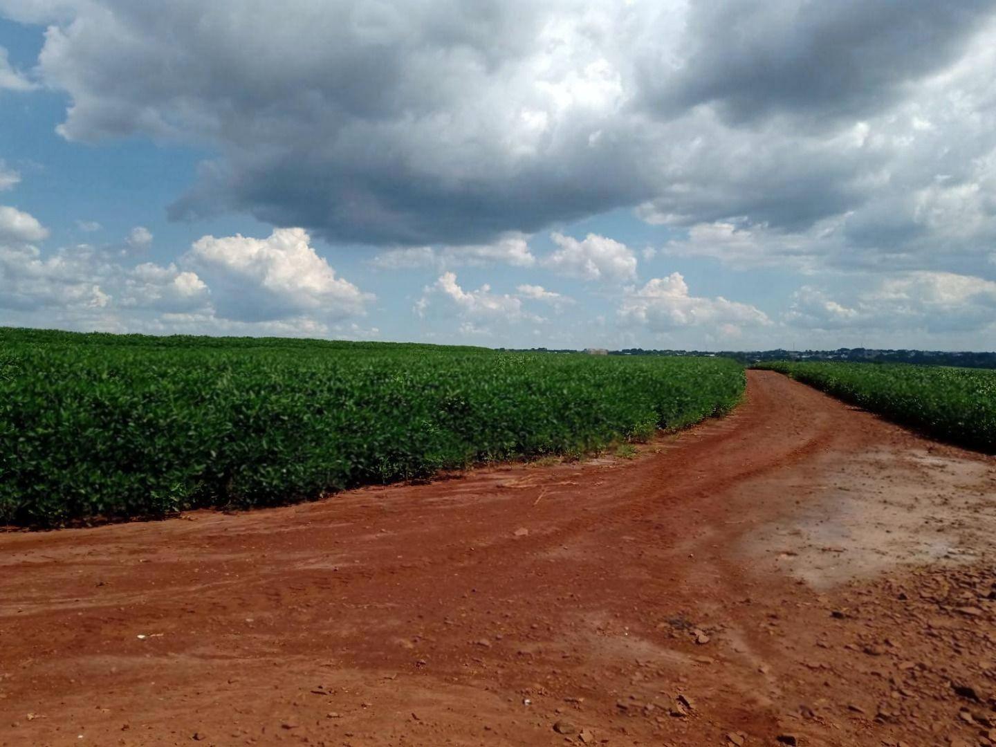 Terreno à venda em Jardim Ouro Cola, Maringá - PR