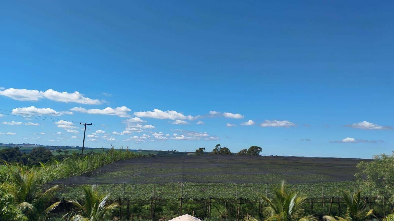 Chácara/Sítio à venda em Rural, Marialva - PR