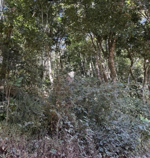 Terreno à venda em Araras, Petrópolis - RJ