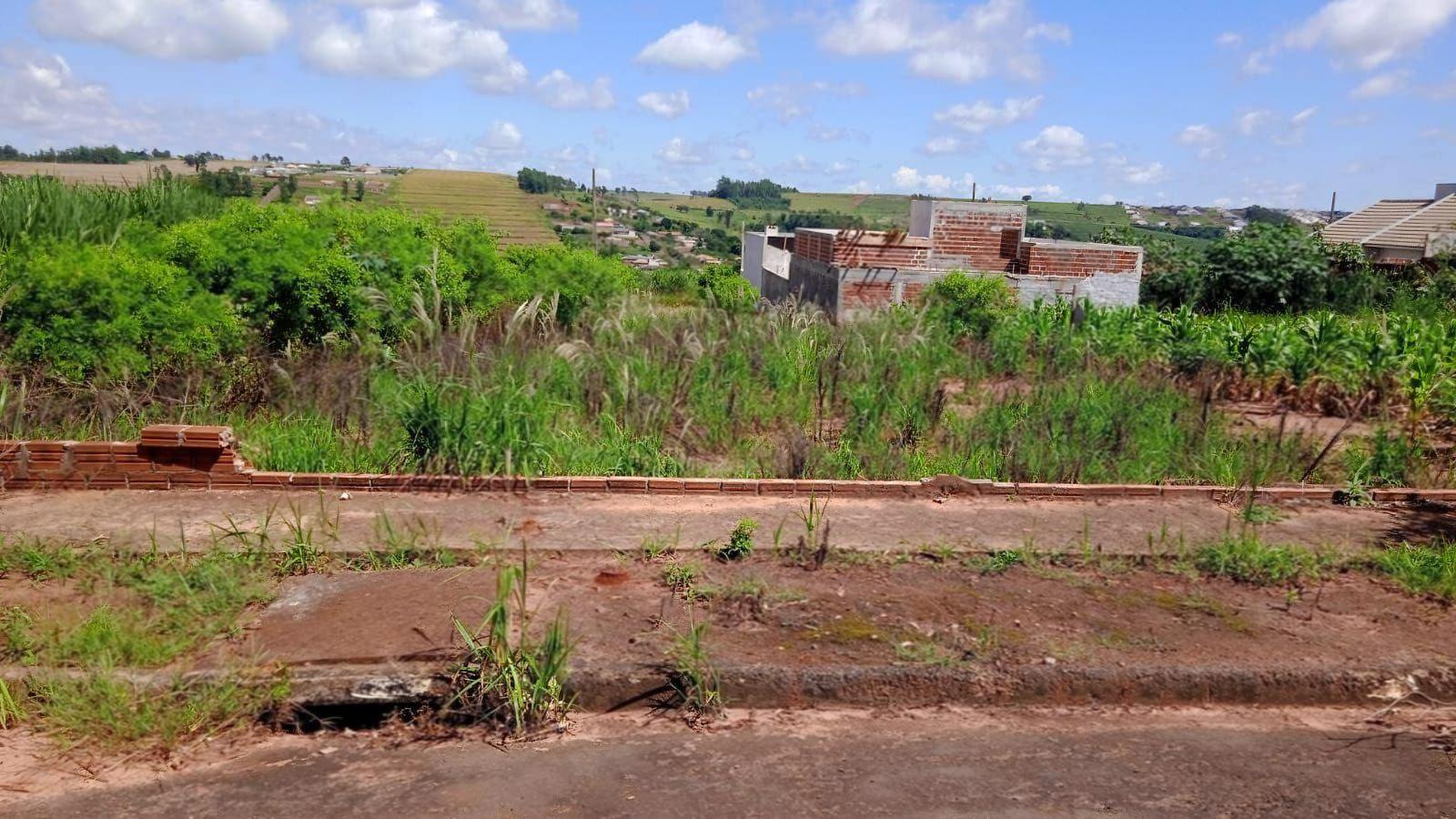 Terreno à venda em Jardim Catuai, Mandaguaçu - PR