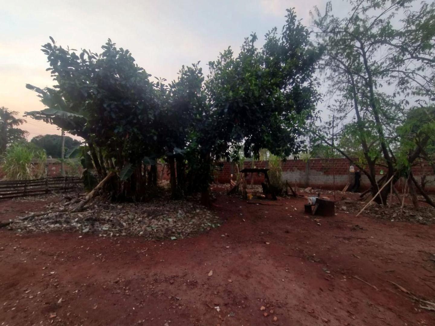 Chácara/Sítio à venda em Jardim Monte Carmelo, Paiçandu - PR