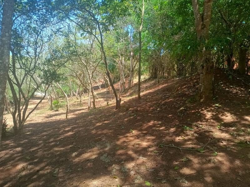 Fazenda à venda em Paraiba do Sul, Paraíba do Sul - RJ