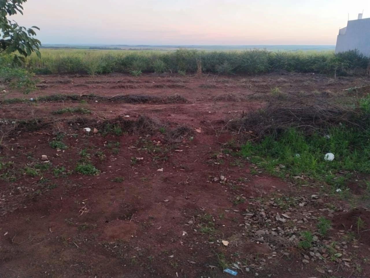 Terreno à venda em Jardim Catuai, Mandaguaçu - PR