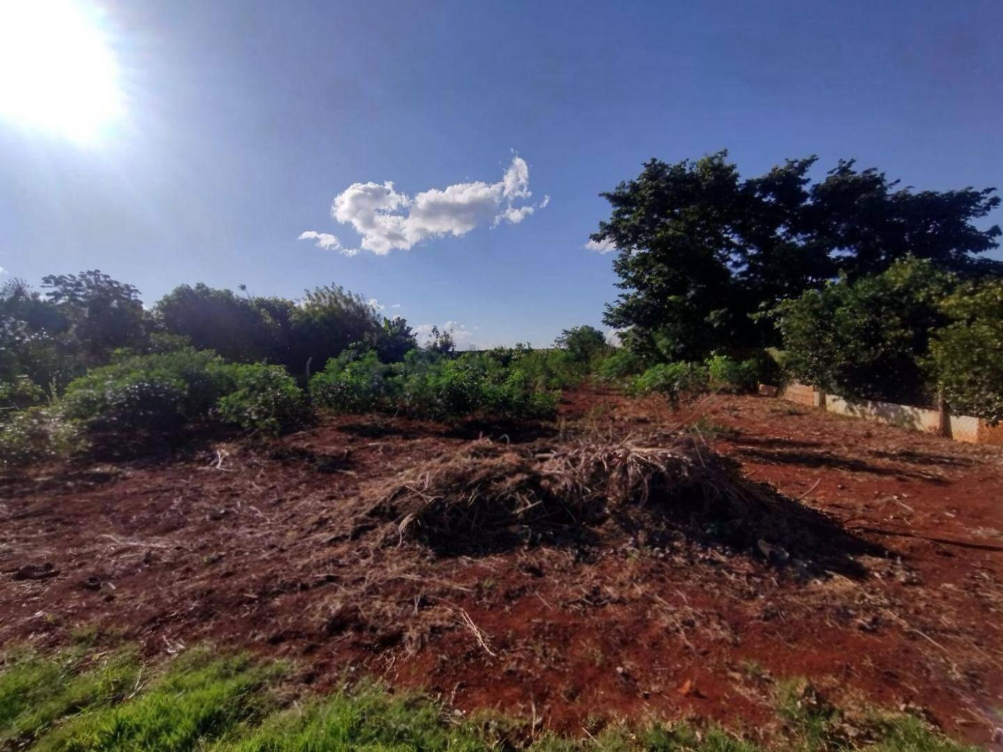 Chácara/Sítio à venda em Distrito Iguatemi, Maringá - PR