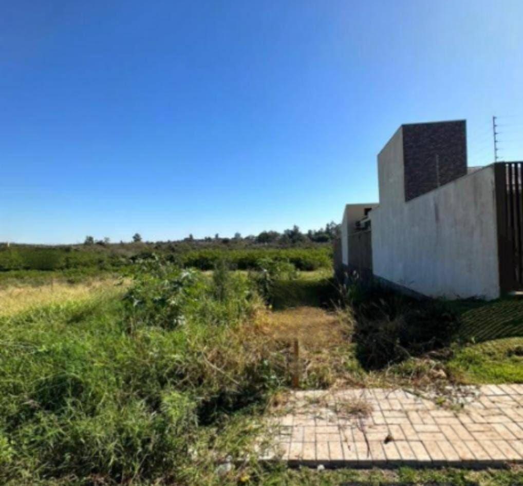Terreno à venda em Jardim Isabel, Campo Mourão - PR