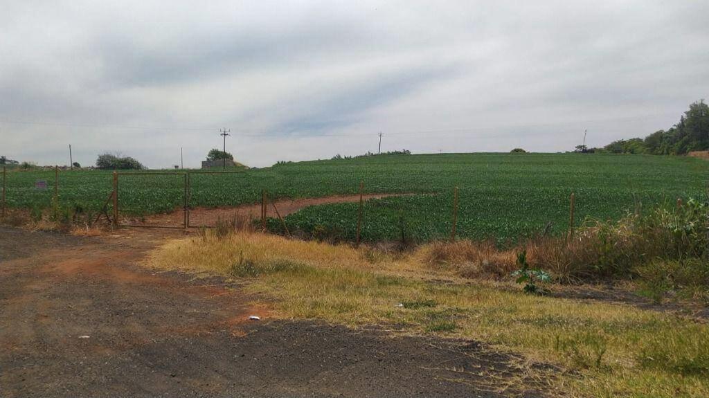 Chácara/Sítio à venda em Zona 05, Maringá - PR