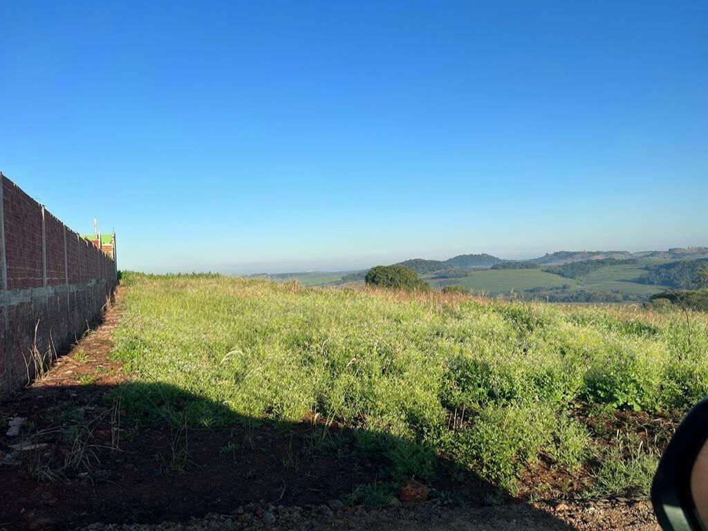 Chácara/Sítio à venda em Gleba Patrimônio Maringá, Maringá - PR