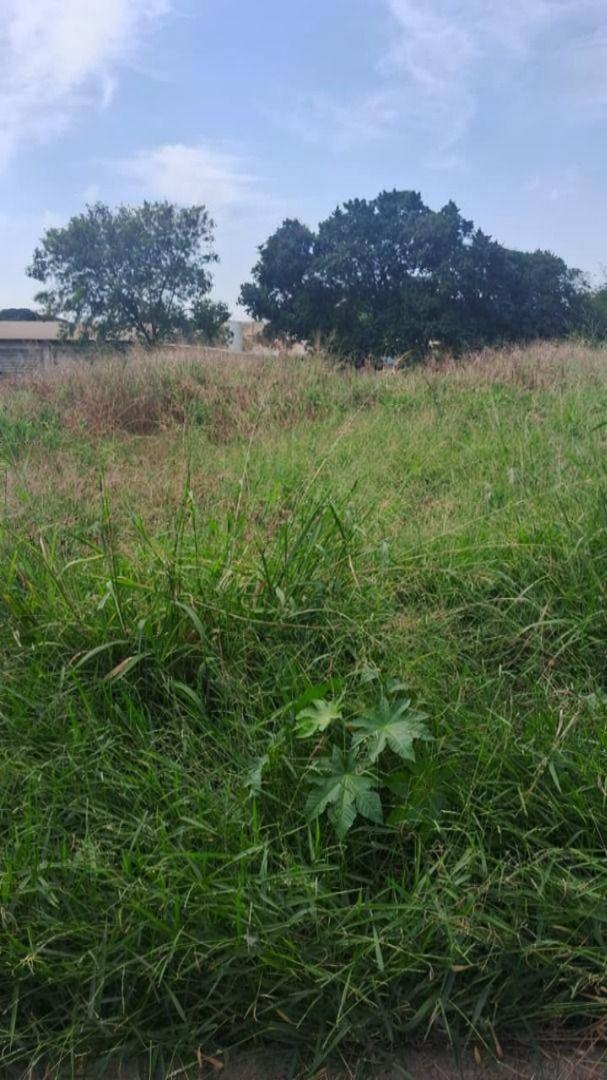 Terreno à venda em Jardim Industrial Polessi, Marialva - PR