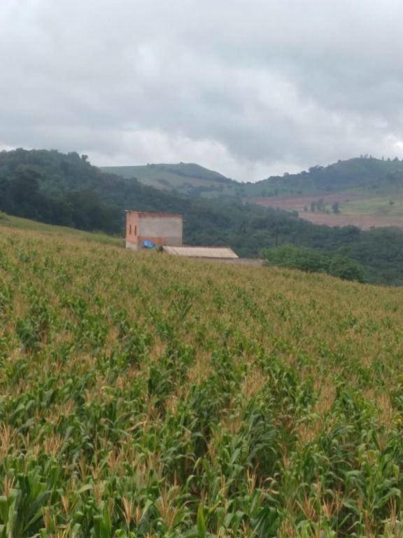 Terreno à venda em Rural, Bom Sucesso - PR