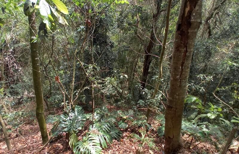 Chácara/Sítio à venda em Araras, Petrópolis - RJ