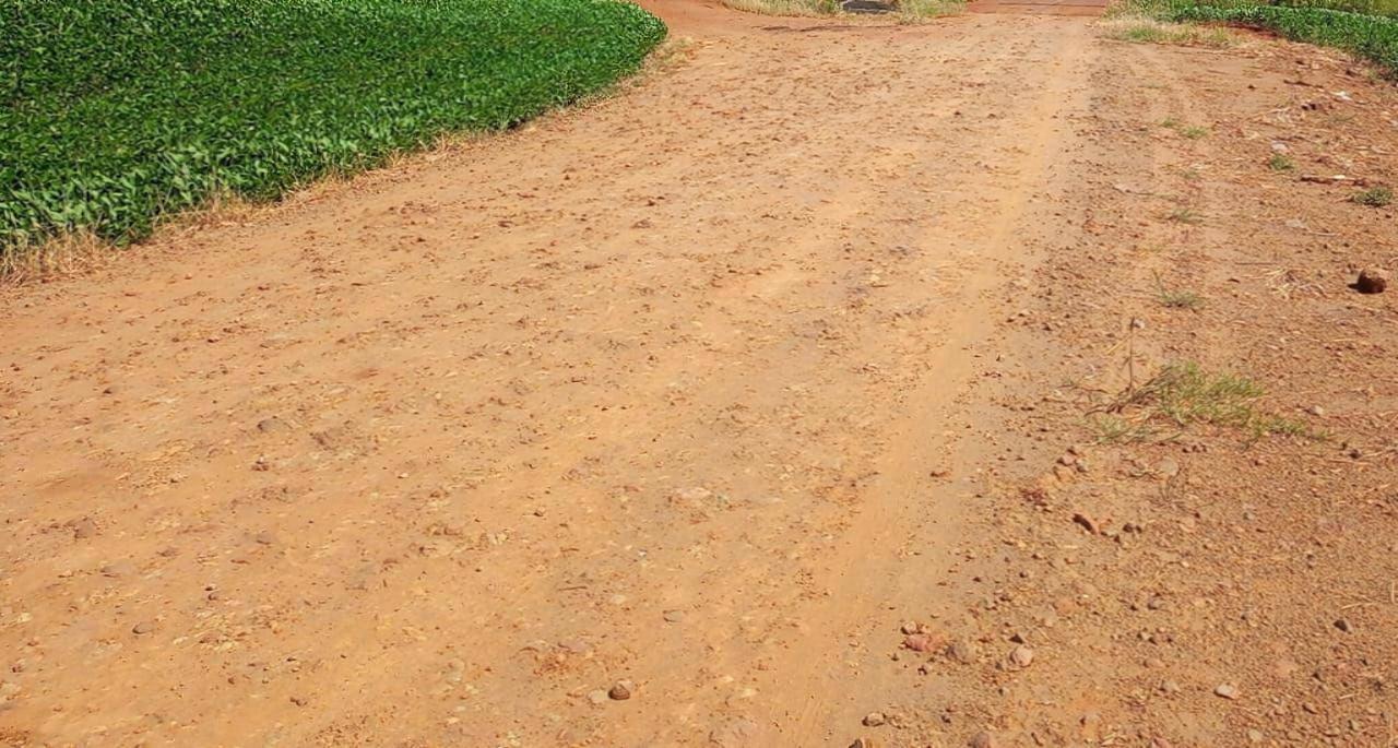 Chácara/Sítio à venda em Zona Rural, Paiçandu - PR