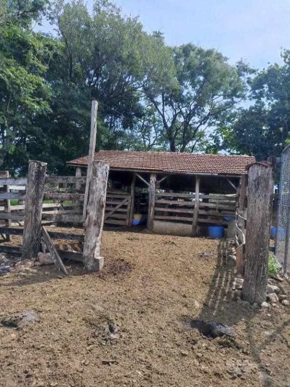 Chácara/Sítio à venda em Zona Rural, Assaí - PR