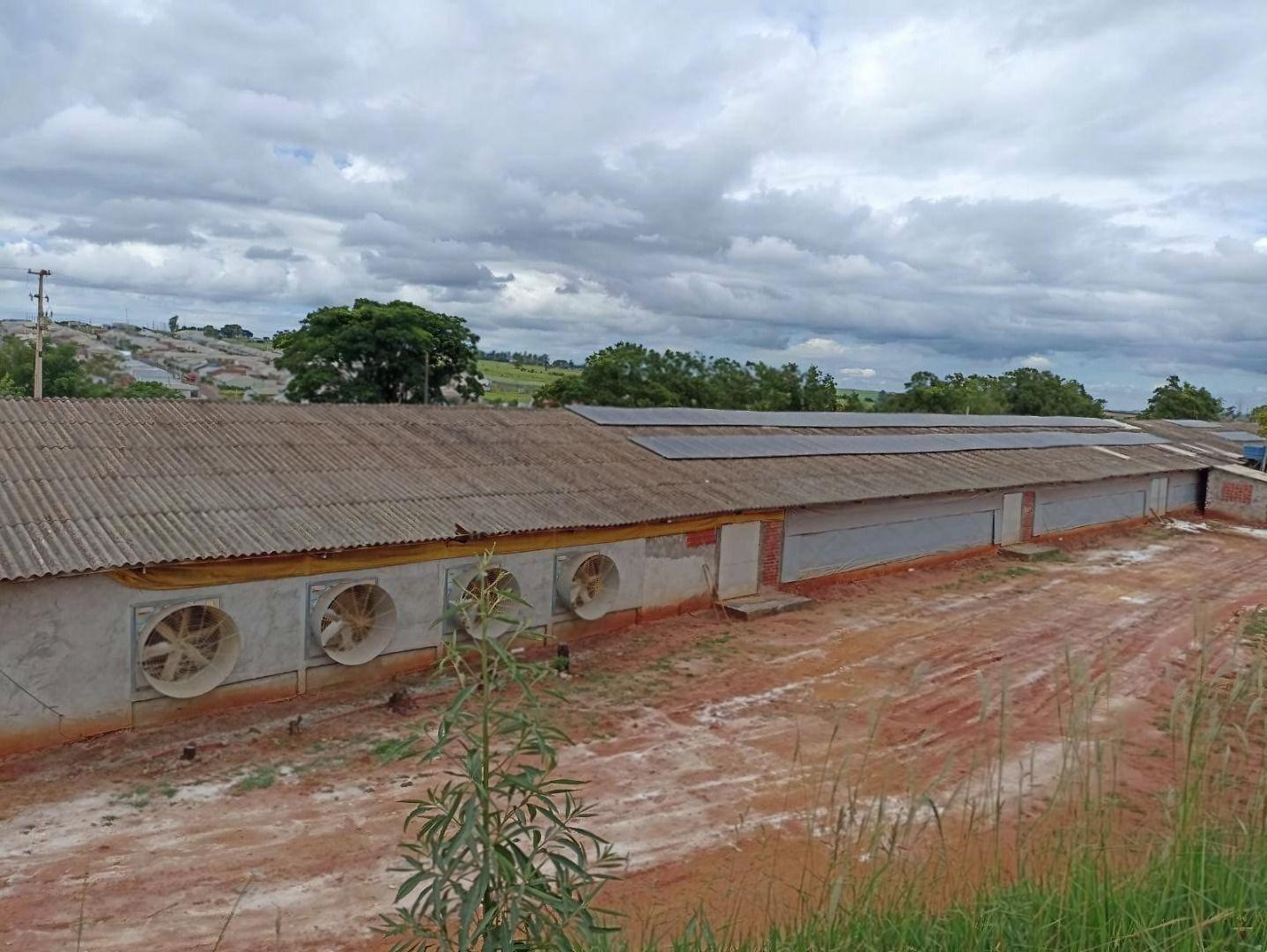 Fazenda à venda em Conjunto Mutirao, Mandaguaçu - PR