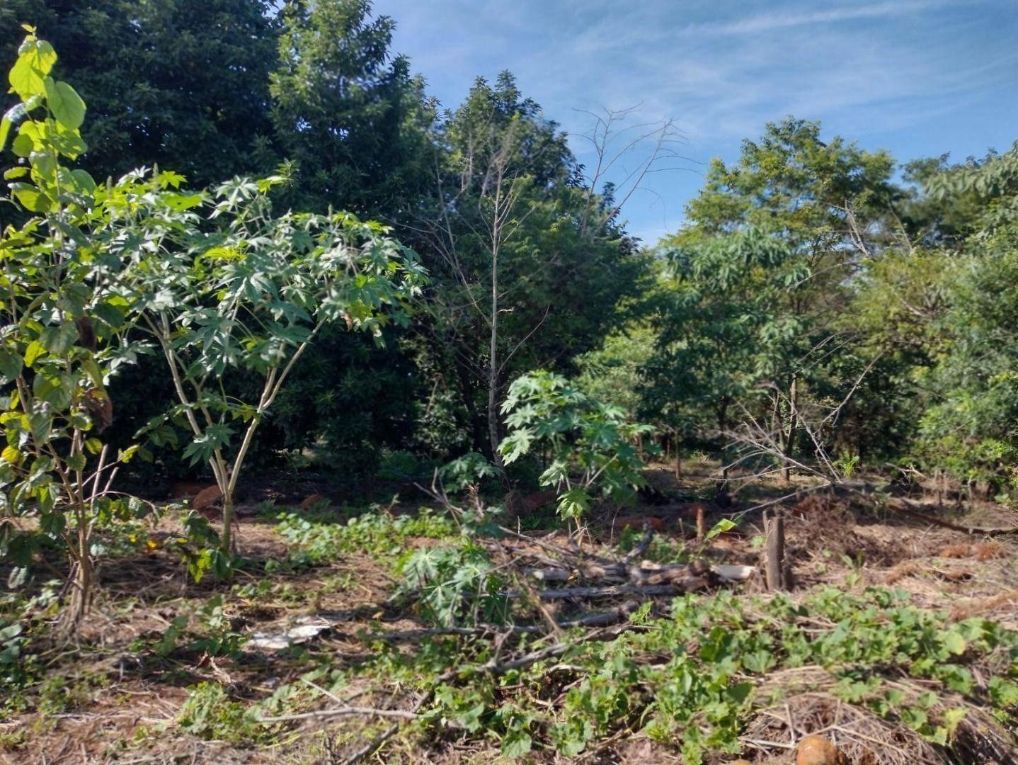 Chácara/Sítio à venda em Gleba Ribeirão Aquidaban, Marialva - PR