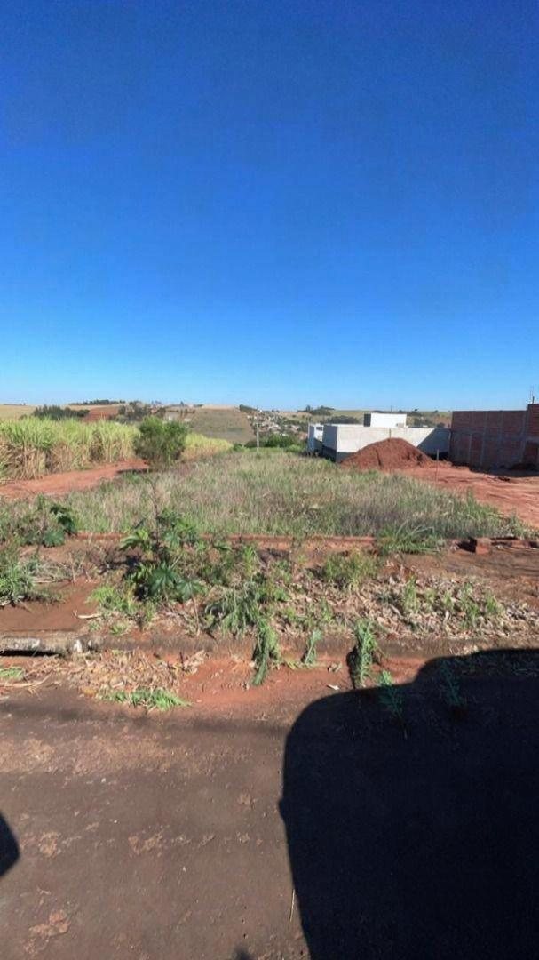 Terreno à venda em Jardim Catuai, Mandaguaçu - PR
