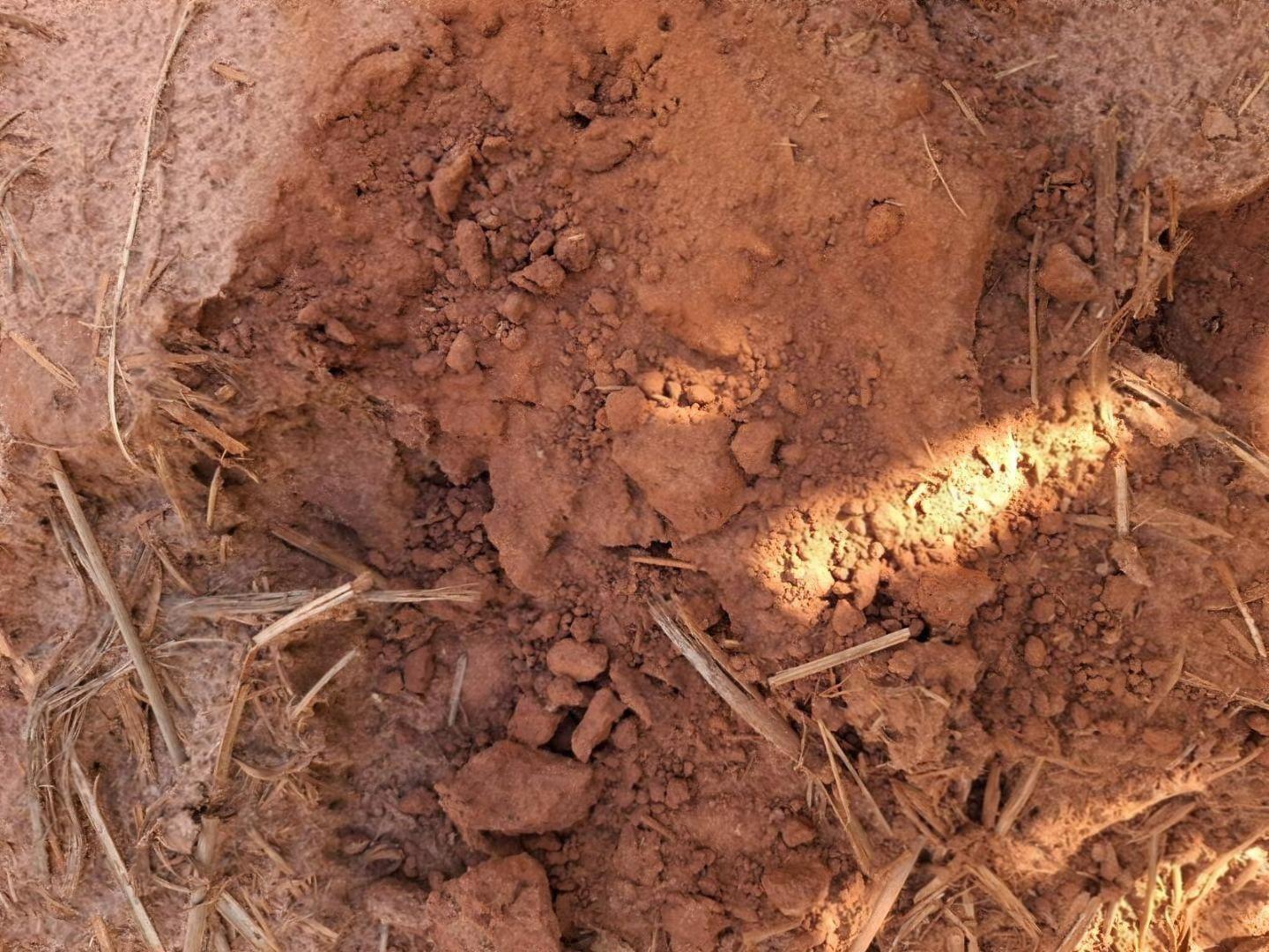 Fazenda à venda em Água 2 Irmãos, Santa Inês - PR