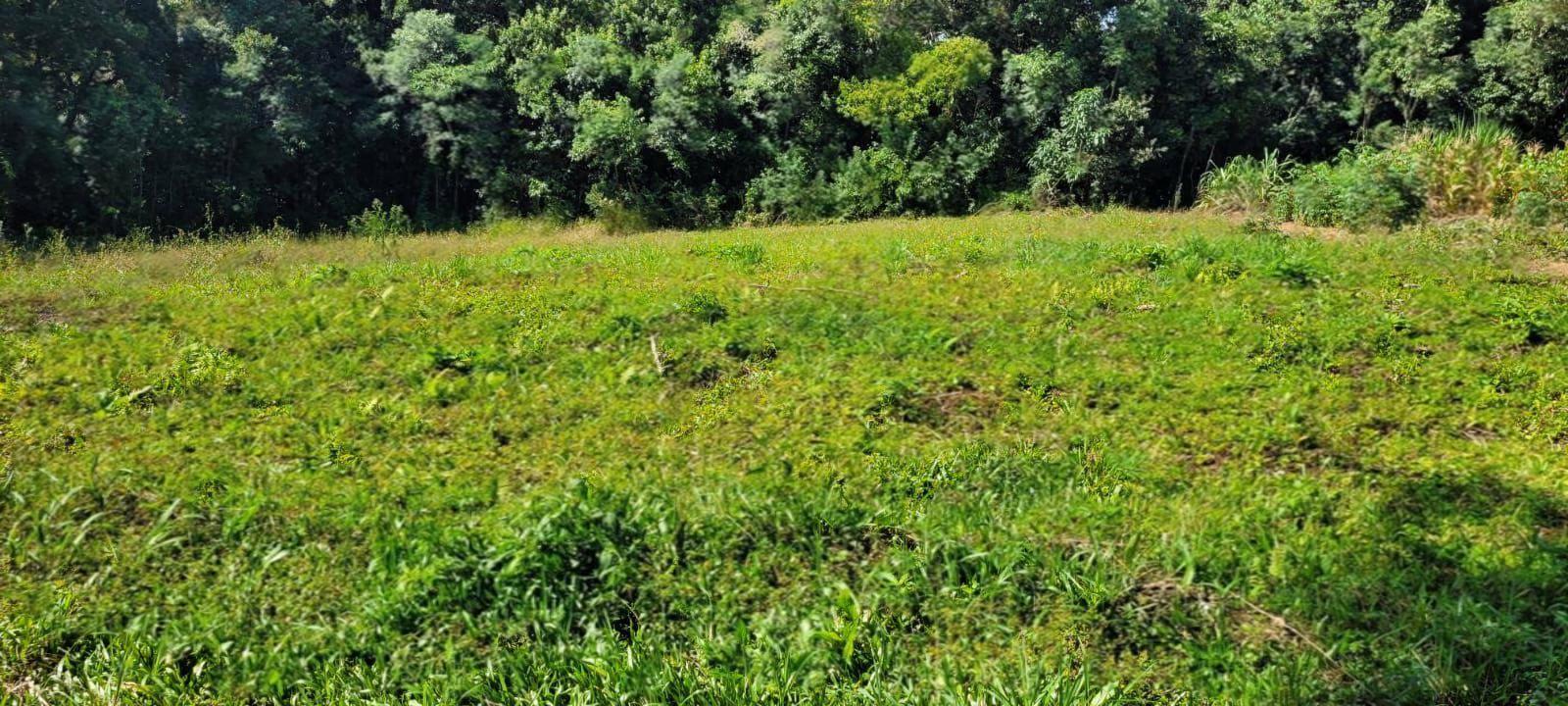 Terreno à venda em Mercês, Curitiba - PR