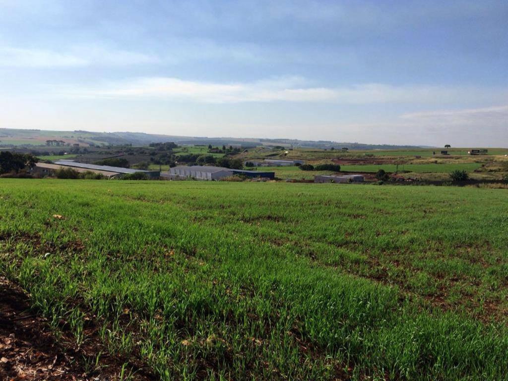 Terreno à venda em Jardim Shenandoa, Marialva - PR