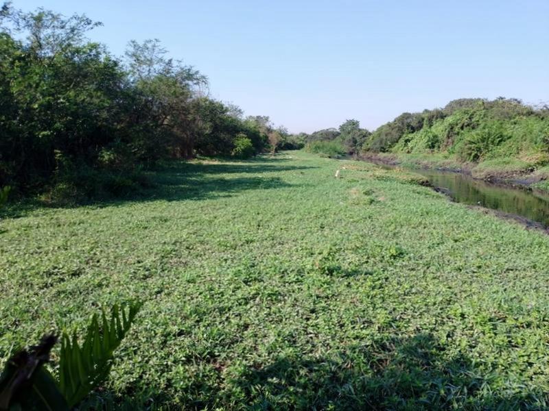 Chácara/Sítio à venda em Guaxindiba, São Gonçalo - RJ