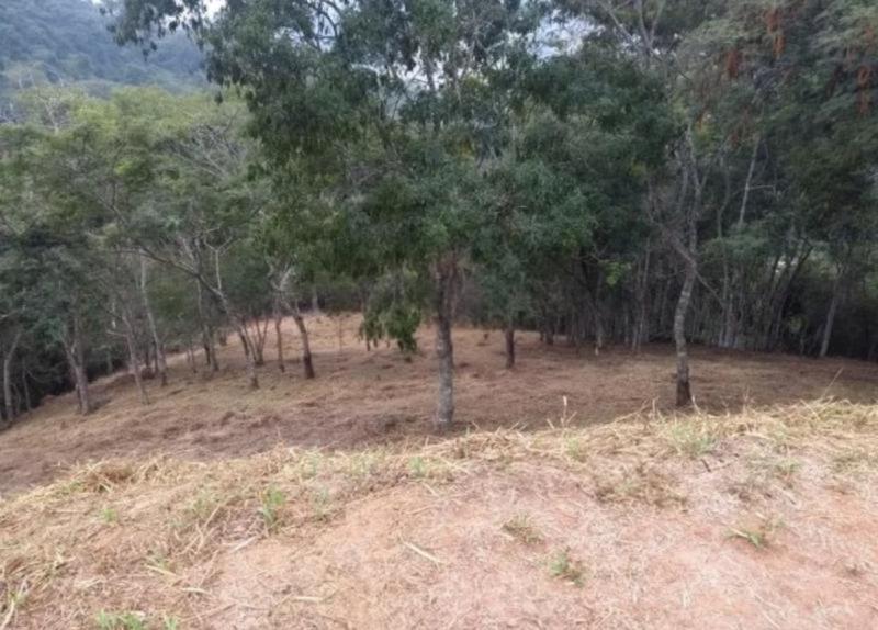 Terreno em condomínio à venda em Pedro do Rio, Petrópolis - RJ