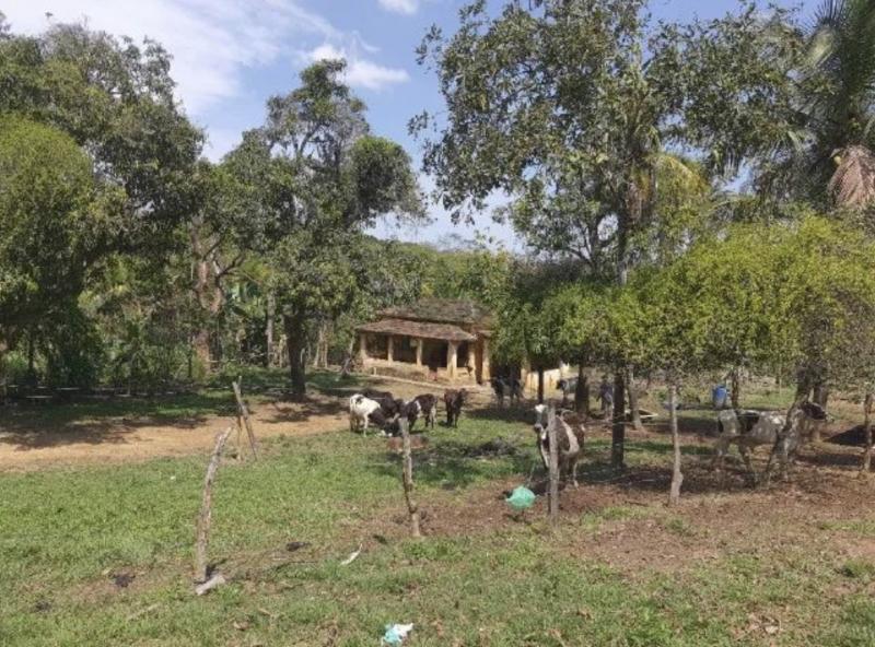 Fazenda à venda em Centro, Queimados - RJ