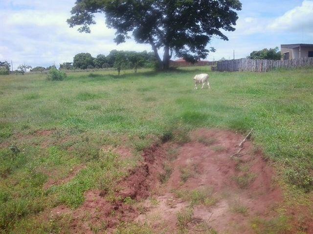 Terreno à venda em Zona Rural, Paranacity - PR
