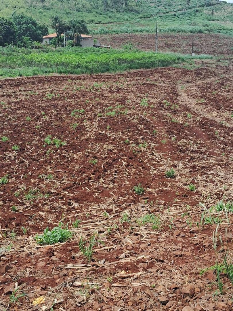 Chácara/Sítio à venda em Rural, Bom Sucesso - PR