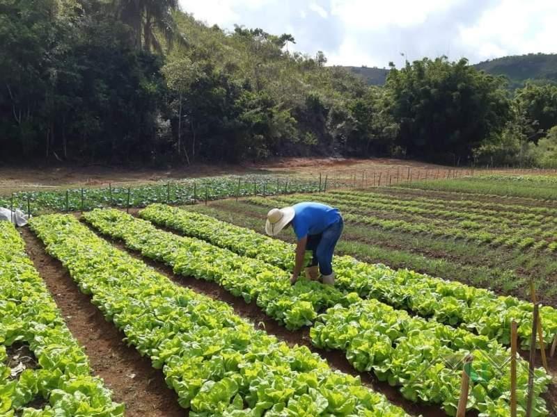 Chácara/Sítio à venda em Gragoatá, Paraíba do Sul - RJ
