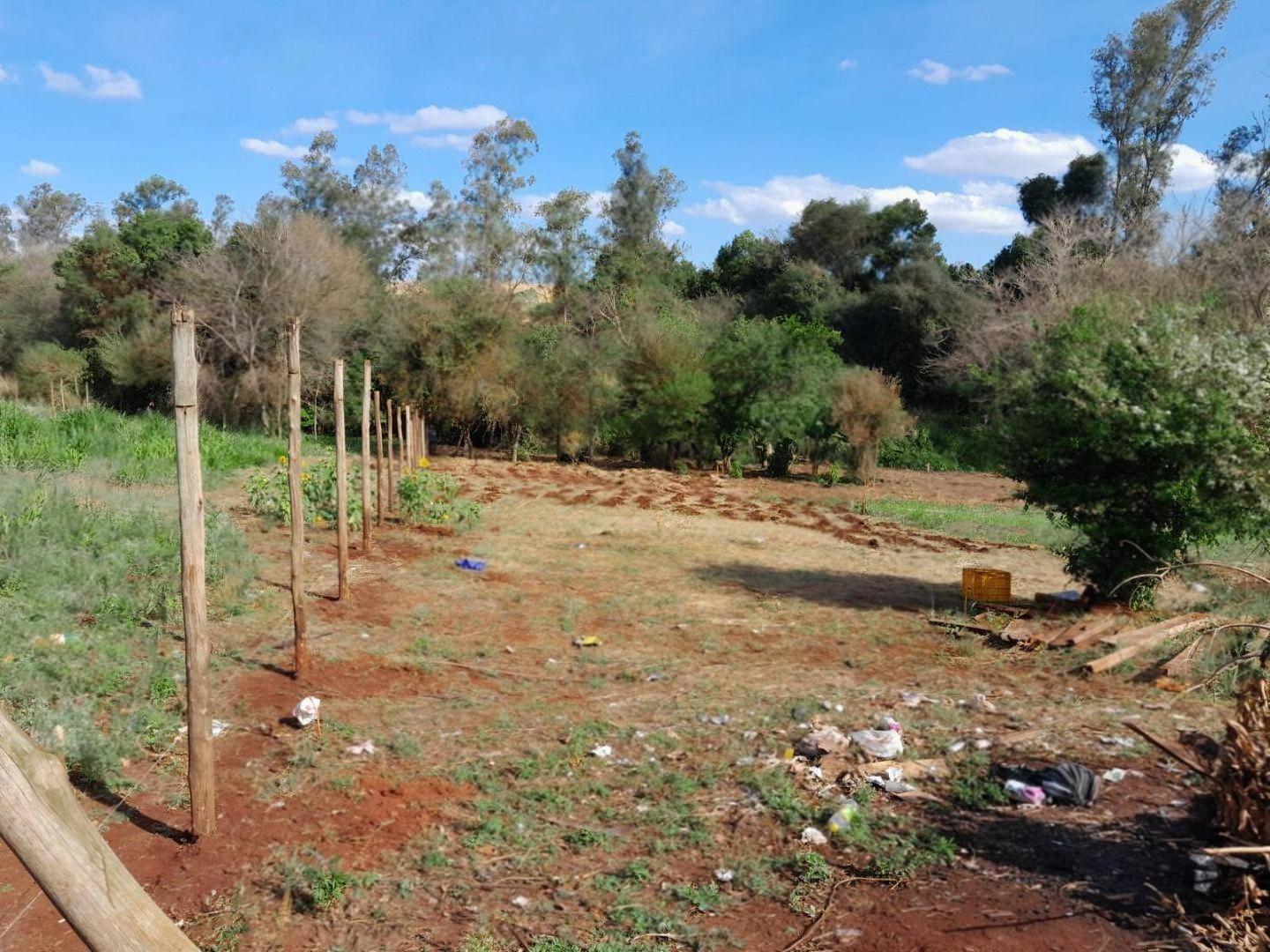 Chácara/Sítio à venda em Estrada Keller, Marialva - PR