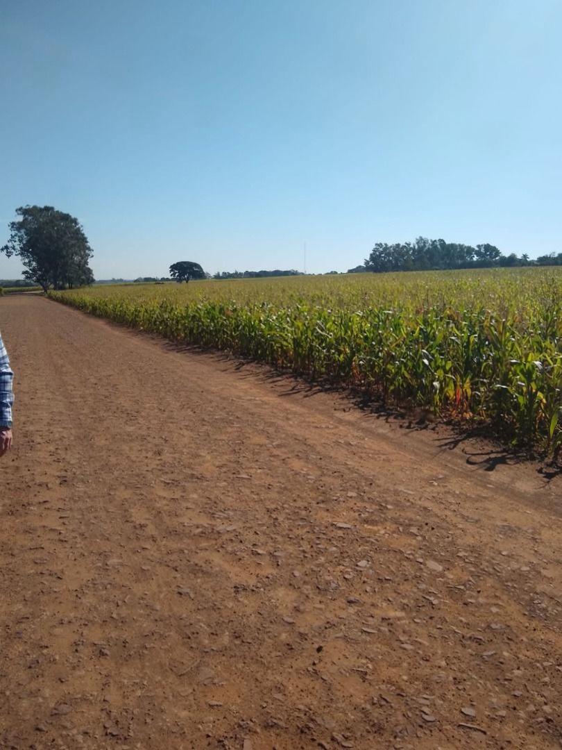 Terreno à venda em Conjunto Residencial Santa Terezinha, Maringá - PR