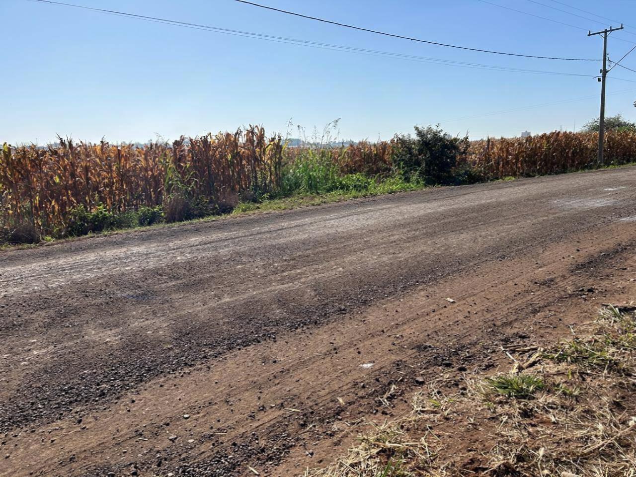 Fazenda à venda em Parque Industrial Bandeirantes, Maringá - PR