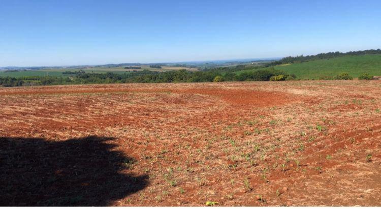 Terreno à venda em Parque Industrial Mario Bulhoes, Maringá - PR