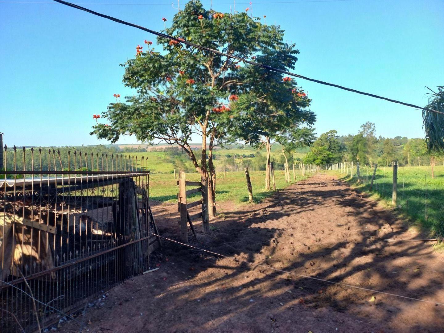 Chácara/Sítio à venda em Br, Nova Esperança - PR