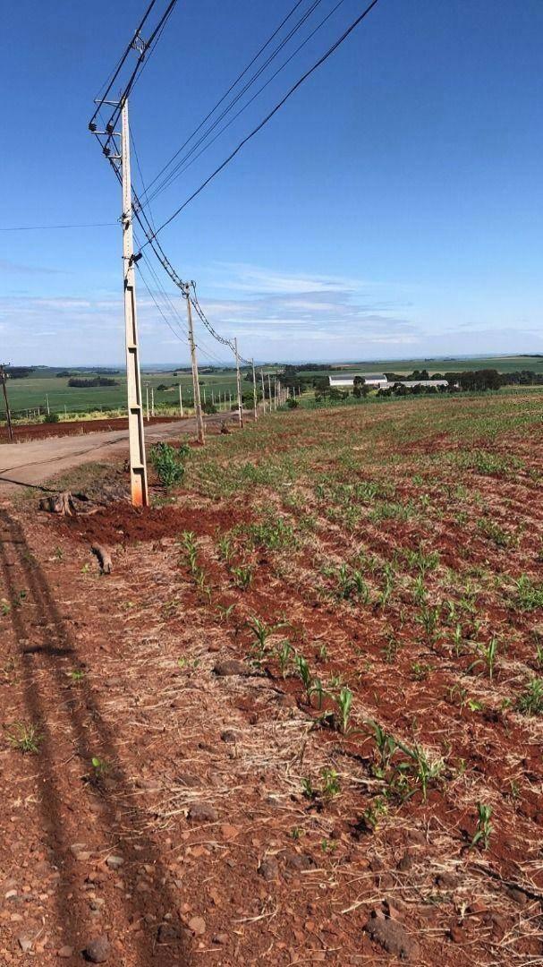 Terreno à venda em Gleba Pinguim, Maringá - PR