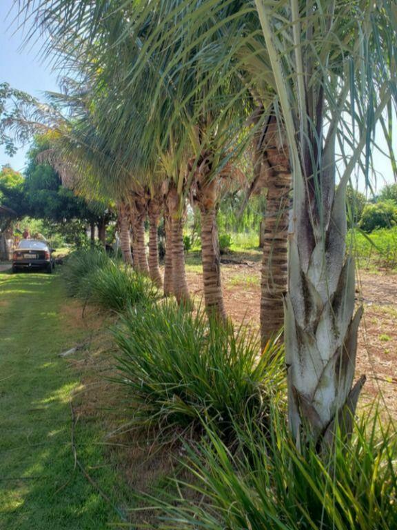Chácara/Sítio à venda em Cuca Fresca, Iguaraçu - PR