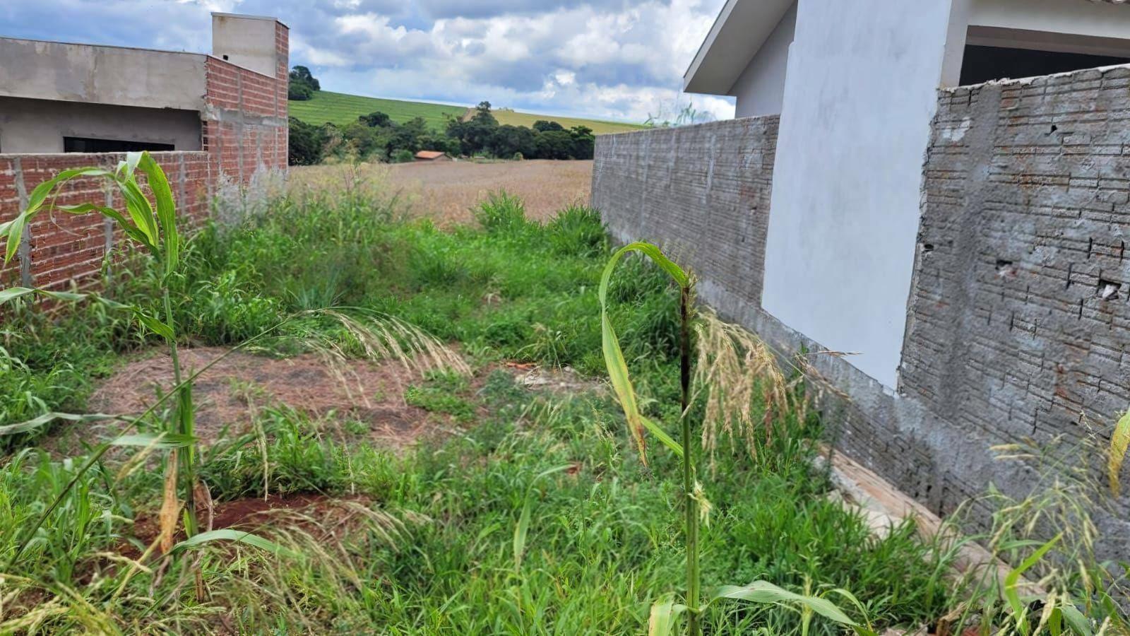 Terreno à venda em 653, Floresta - PR