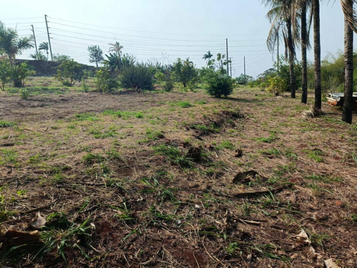 Terreno à venda em Jardim Montreal, Maringá - PR